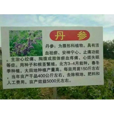 沂南县溪泉中药材种植专业合作社