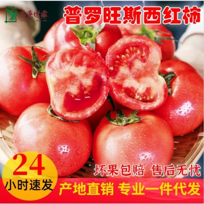 一件代发硬粉番茄5斤新鲜当季孕妇蔬菜露天西红柿生吃自然熟整箱