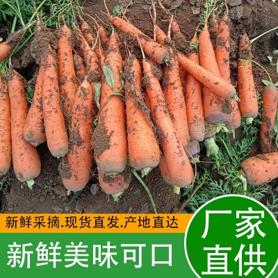 厂家批发新鲜胡萝卜新鲜蔬菜水果萝卜农家自种现挖生吃脆甜胡萝卜