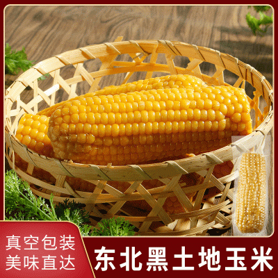 玉米新鲜东北糯甜粘黏黄玉米棒真空包装粗粮代餐10支苞米