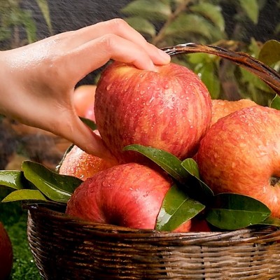 常年供应陕西延安洛川苹果红富士10斤5斤新鲜水果脆甜非冰糖心丑