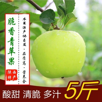 现摘青苹果水果陕西当应季新鲜脆甜酸爽孕妇苹果5/10斤一件批发