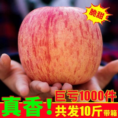 山西红富士非阿克苏冰糖心苹果脆甜多汁3-10斤批发一件代发苹果