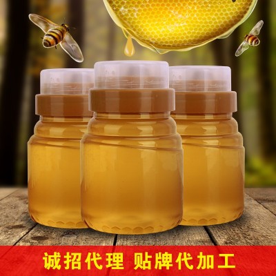 【工厂直供】蜂蜜批发500g土蜂蜜百花蜜枣花蜜制品一件代发