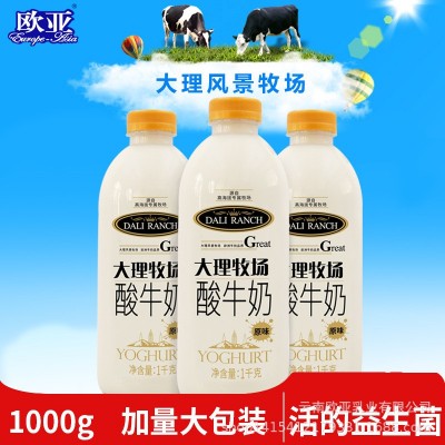 欧亚大理牧场低温原味酸奶酸牛奶1000g*3瓶整箱早餐乳制品