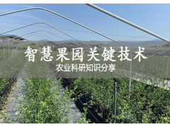 北京平谷智慧果园关键技术，一文了解农业科研前沿知识