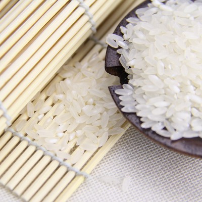 五常大米厂家直供高品质新米稻花香米 真空有机大米礼盒 东北大米
