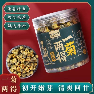 养生茶批发新包装代用养生茶 一件代发50克罐装桐乡头茬金黄胎菊