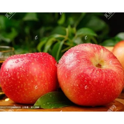 批发 红富士苹果采购供应 广爱鲜长期供应脆甜多汁应季新鲜水果
