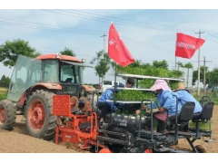 兴平：新型农业机械助力辣椒种植