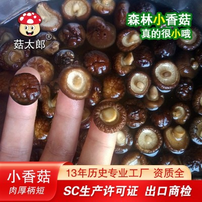 菇太郎香菇批发 西峡干香菇 产地批发 冬菇 干椎茸1.5-2CM SC认证