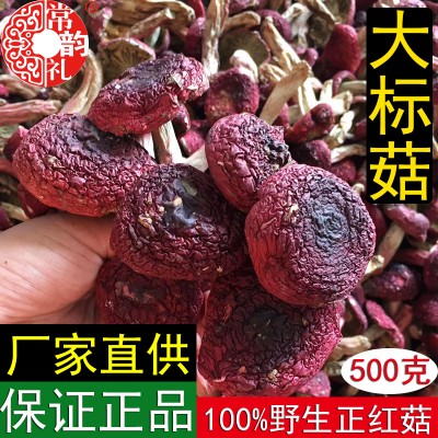 福建野生红菇干货大量批发产地直供云南广西正红菇非二红 500克