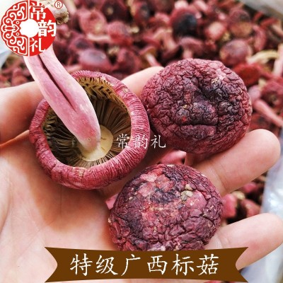 野生红菇干货 大量批发产地直供广西浪水正红菇标菇非二红250克