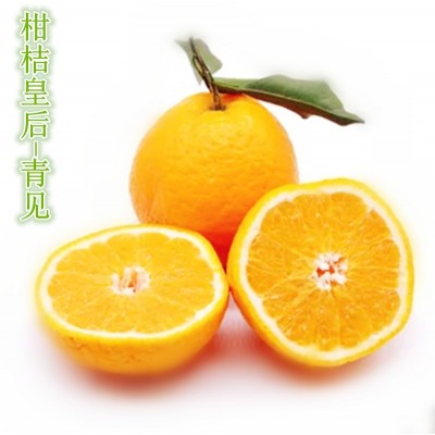 四川青见柑橘9斤果冻橙子新鲜水果应当季整箱橘子桔子现货批发