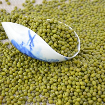【金威玛】绿豆明绿豆优质东北原生态绿豆粥原料厂家批发一件代发