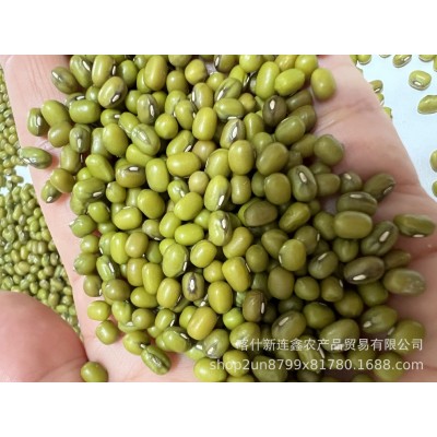 出售乌兹绿豆有完善加工体系一手货源仓库直接发欢迎选购乌兹绿豆