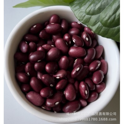 出售金石豆芸豆2022年产大颗粒金石豆产地新疆颗粒饱满色选成品质