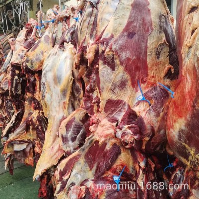 青海牦牛肉 青藏高原牦牛肉价格 西藏牦牛肉 新鲜现宰牦牛肉批发