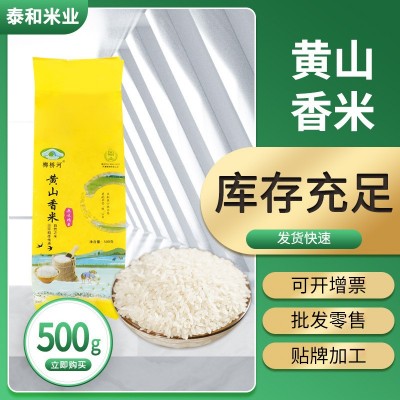 榔桥河优质长粒型香米500g优质大米团购批发22年新米