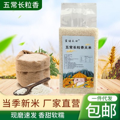 五常长粒香米东北特产新米1kg真空小包装现磨现发包邮黑龙江大米