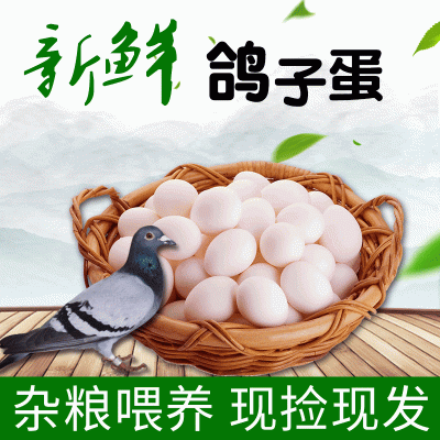 40枚装批发新鲜农家杂粮散养鸽子蛋食用土特产鸽子蛋