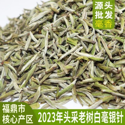 2023年新茶头采老树白毫银针福鼎白茶太姥山脉核心产区散茶叶批发