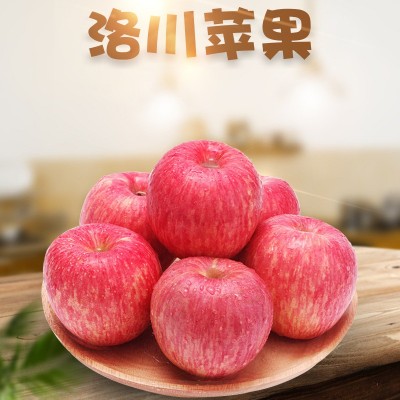 现货陕西洛川苹果5斤新鲜脆甜多汁红富士非烟台栖霞奶油水果