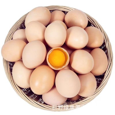 红壳鸡蛋新鲜鸡蛋批发五谷饲养鲜鸡蛋粮食喂养红壳蛋山东厂家批发