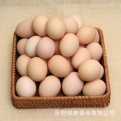 红壳鸡蛋五谷物粮食喂养新鲜鸡蛋整箱厂家批发鸡蛋批发量大从优
