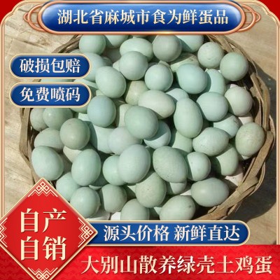 30枚整箱批发新鲜土鸡蛋 五谷虫草散养农家绿壳土鸡蛋正宗鸡蛋