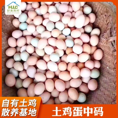 安徽土鸡蛋中码1斤11个左右整箱420枚批发 农家草鸡蛋笨鸡蛋