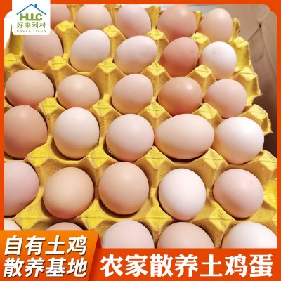 安徽土鸡蛋农家散养420枚整箱批发 草鸡蛋笨鸡蛋五谷杂粮喂养全国