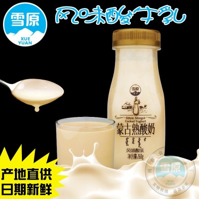 内蒙古特产网红熟酸奶230g风味酸乳乳制品厂家兰格格雪原乳业直供