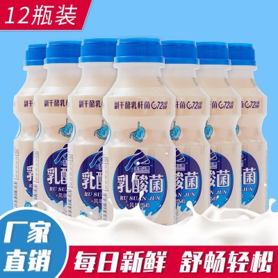 酸奶胃动力乳酸菌饮品早餐儿童牛奶饮料340ml*12/6瓶原味益生菌