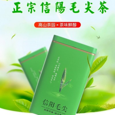 绿茶毛尖2023新茶原产地明前核心产区口粮茶叶