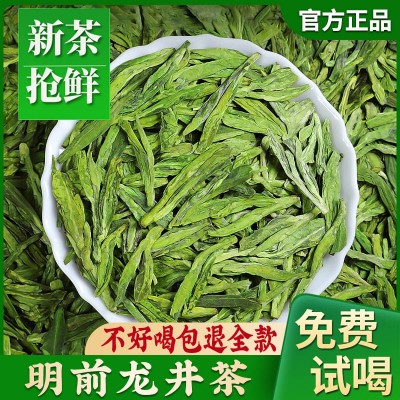 龙井绿茶春茶茶叶嫩芽高山绿茶正宗杭州原产豆香型袋装