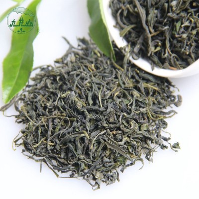 欧标低农绿茶厂家茶叶批发高山绿茶毛峰新茶散装出口欧盟