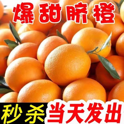 新鲜脐橙子当季水果手剥冰糖甜橙非江西赣南的脐橙整箱批发价榨汁