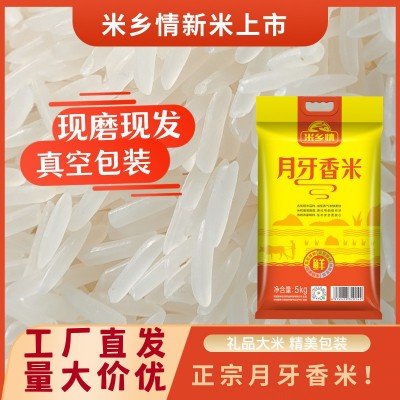 米乡情月牙香米20斤晚稻现磨一级丝苗米 推荐企业采购商用10KG