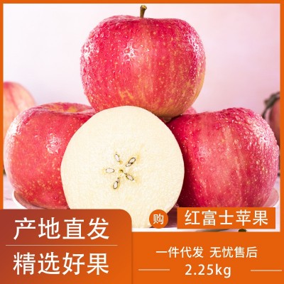 青青大地 红富士苹果中果 山东烟台苹果生鲜水果 新鲜水果4.5斤