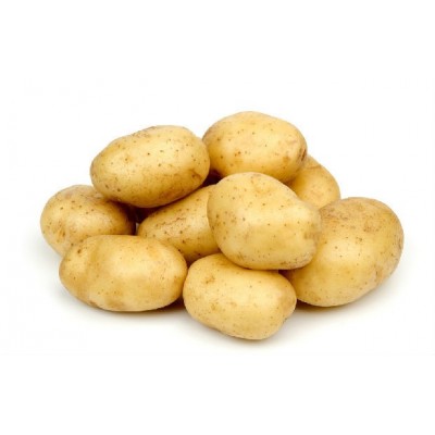 大量供应土豆 ，土豆大量上市 欢迎前来咨询 土豆