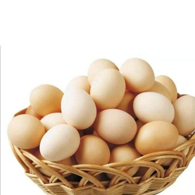 土鸡蛋农家散养新鲜柴鸡蛋 纯粮喂养笨鸡蛋草鸡蛋200枚