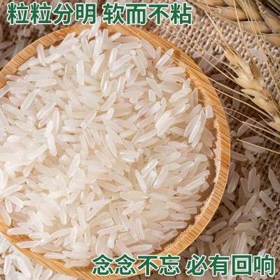 籼米猫牙米5kg大米批发10kg丝苗米50斤米长粒新米代发 量大优惠