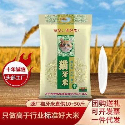 厂家直批猫牙特长新米一件代发长粒香大米10kg丝苗米10斤25kg批发