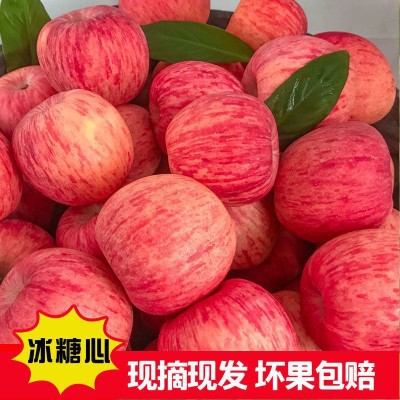 山东红富士苹果产地近日红富士苹果价格下跌