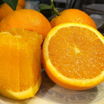 赣南脐橙一件代发，血橙水果团购批发微商代理果园直供货源
