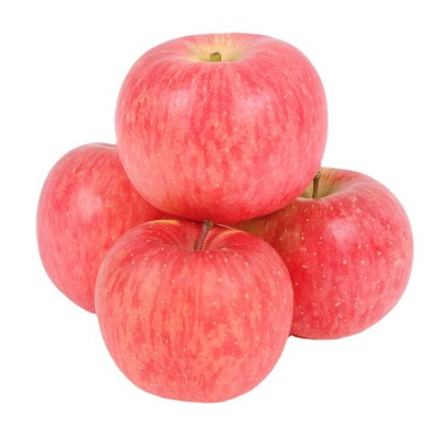 山东红富士苹果较近批发价格