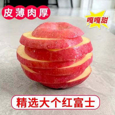 气温下降市场滞销山东红富士苹果产地批发价格行情