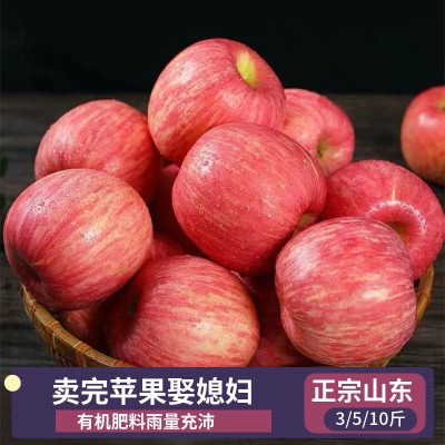 山东苹果产地有卖苹果的山东苹果价格