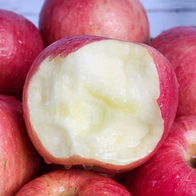 今日苹果批发行情 苹果产地 山东红富士苹果 水晶富士批发价格